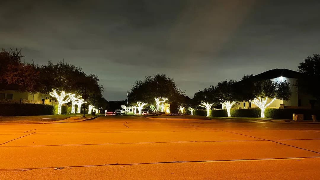 Hand-wrapped tree trunks in warm white lining both sides of a Cottonwood Valley entrance drive in Irving at night