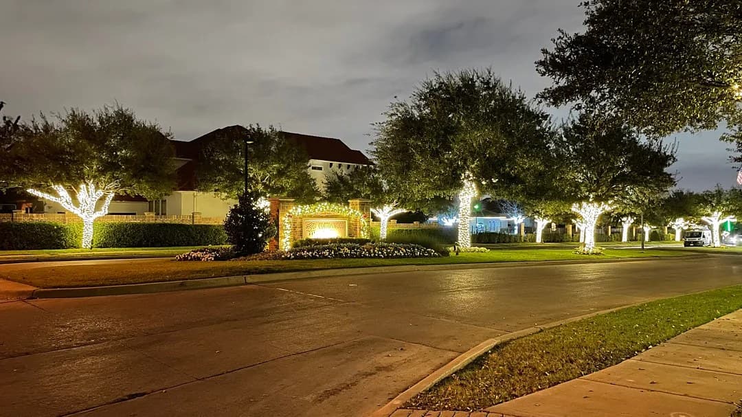 Cottonwood Valley entrance monument in Irving at night with lit garland on the sign and hand-wrapped tree trunks in warm white lining the road